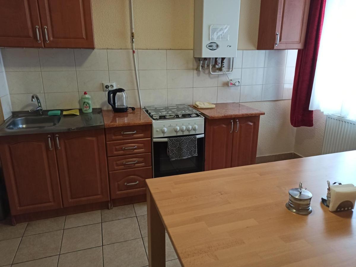 Vip Apartments In The Centre Mukacheve Luaran gambar
