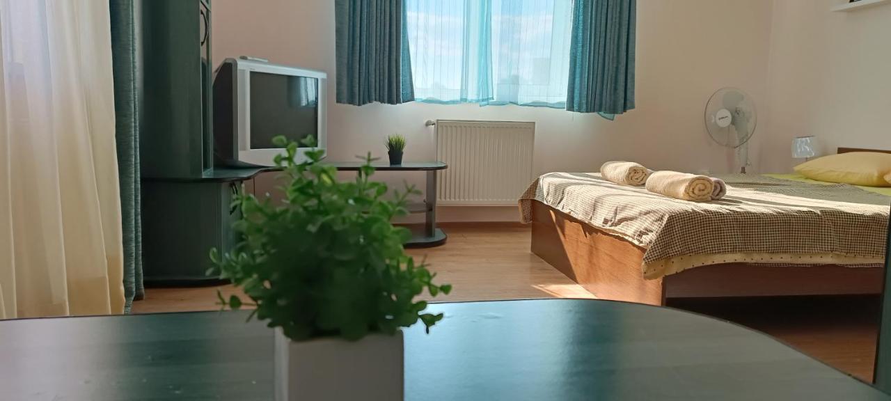 Vip Apartments In The Centre Mukacheve Luaran gambar