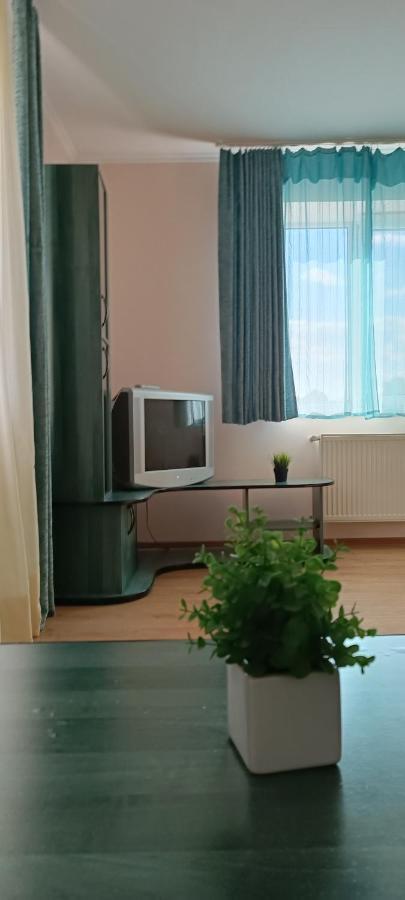 Vip Apartments In The Centre Mukacheve Luaran gambar