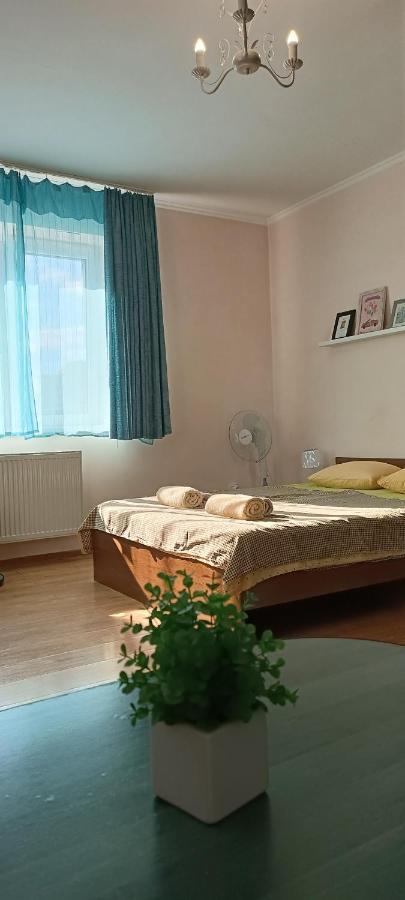 Vip Apartments In The Centre Mukacheve Luaran gambar